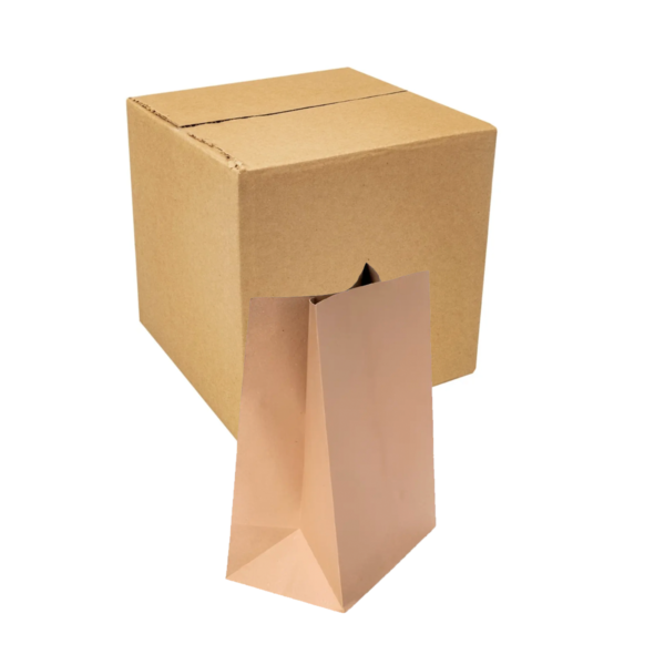 Bolsa Kraft c/Asa Mini 21x11x26